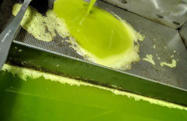 Agriturismo Grecinella - Foto 32