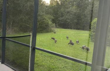 Home Away from Home - Foto 69