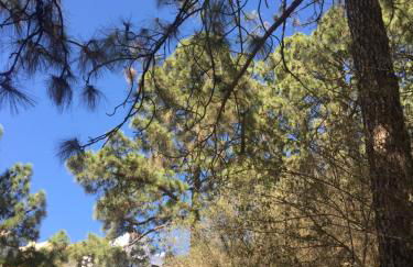 El Mirador - Foto 55