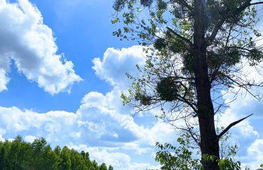 Arche Siedlisko Miedwieżyki - Foto 9