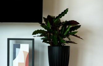 Wyraj nad Pilicą - Foto 36