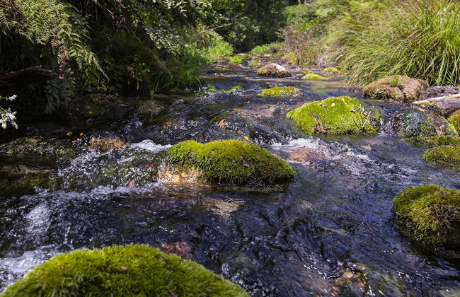 Moinho da Varzea Mill House & Hot Tub - Foto 30