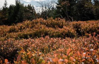 Zugspitze Apartment Weit.Blick - Foto 29