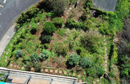 CasAmor - Romantic Ocean View Studio - Foto 39