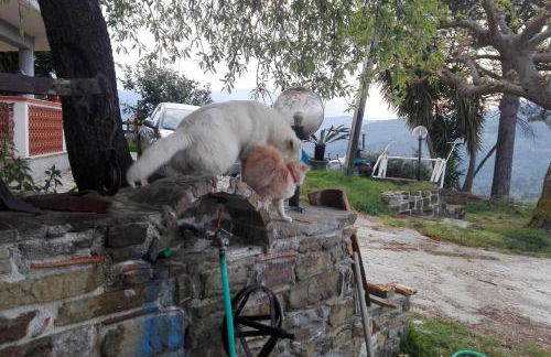 Casa Vacanze Diamante - Photo 7