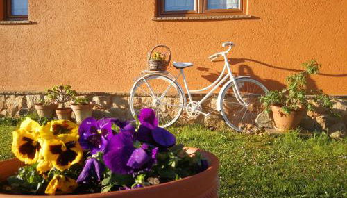 El MIRADOR DE TONO , Casa entera - Foto 4, Garden