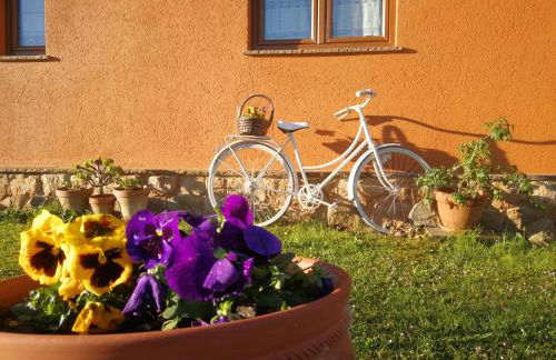El MIRADOR DE TONO , Casa entera - Foto 4