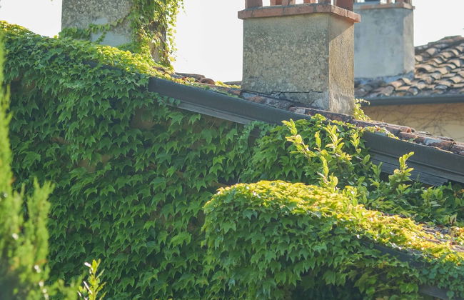 Relais Farinati - Adults only - Foto 54