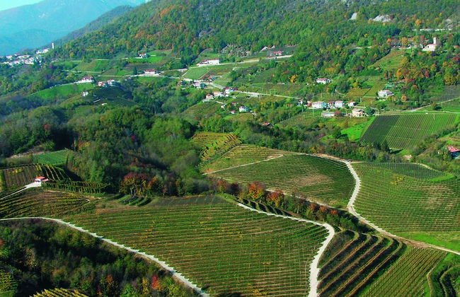 Agriturismo I Comelli - Foto 77