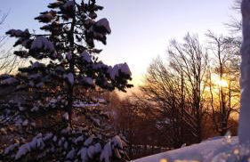 Attico Stella Alpina - Foto 29