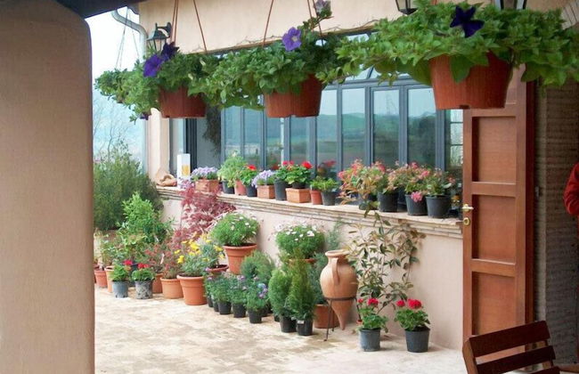 Agriturismo Terrasabina - Foto 70