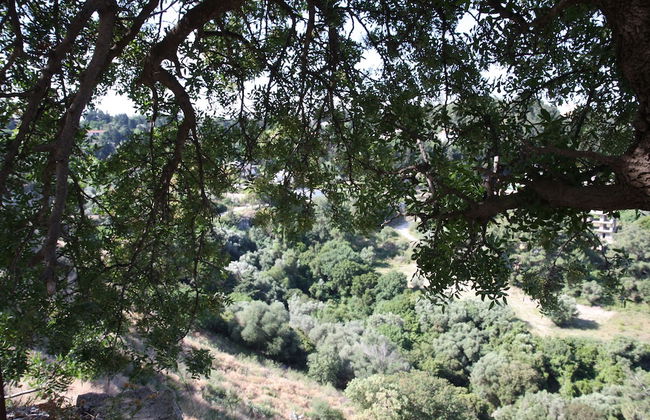 The Red Door in Koskinou - Photo 26