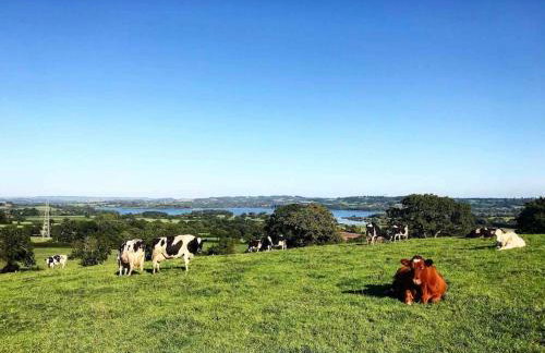 John Pallaster Snug - Foto 4