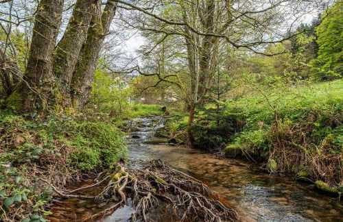 Fewo am Gaisbach - Foto 31