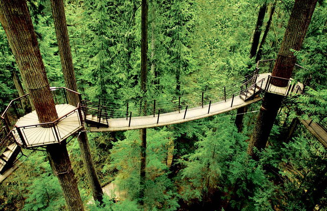 Tour alla Grouse Mountain e al ponte sospeso di Capilano - Foto 1