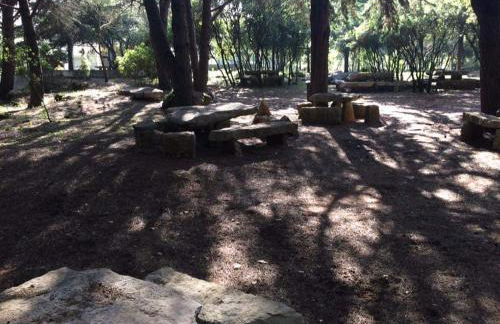 Villa Rominha Alvaiázere - Casa do Rancho - Foto 22