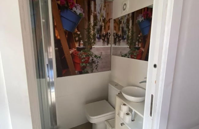 Classic Palau Apartments - Photo 29