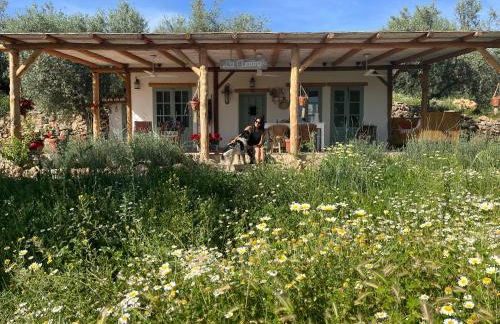 La Cuadra de Finca Don Carmelo - Foto 60