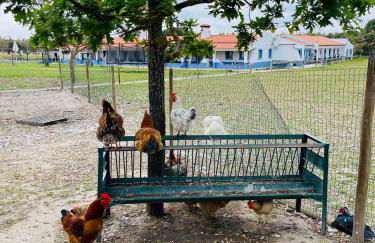 Monte do Lago, Pegões - Foto 75