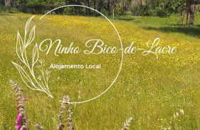 Ninho Bico-de-Lacre ~ o paraíso é a/na Terra - Foto 44