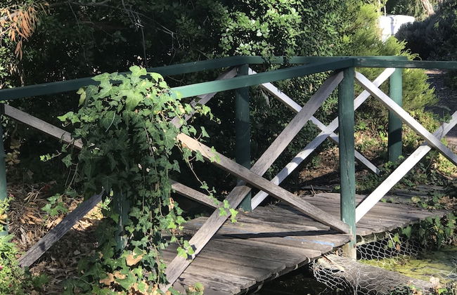 Padthaway Caravan Park - Foto 53