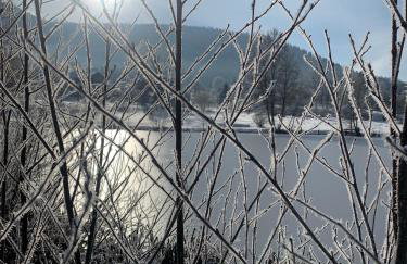 Le chalet des Cambuses - Foto 34