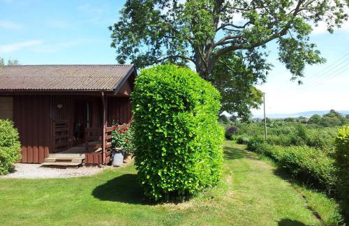 Pine Tree Lodge - Foto 20