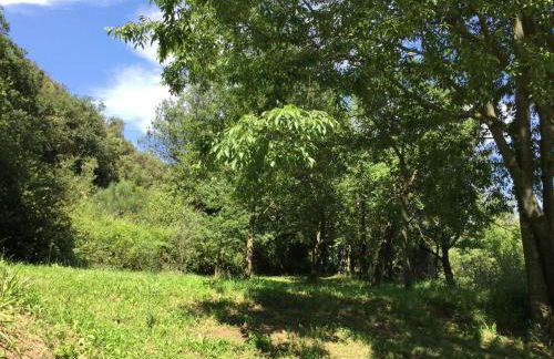 Mas Pardas - Photo 8