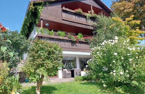 Hibiskus - a83456 - Foto 1