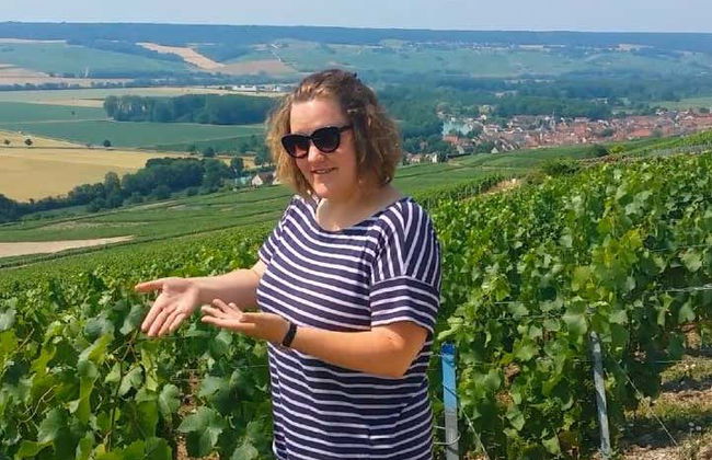 Tour por Reims y la bodega Veuve Clicquot - Foto 8