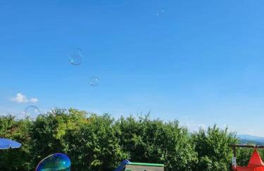 Domki na Górniej Łące - Domek Słowik - Foto 20