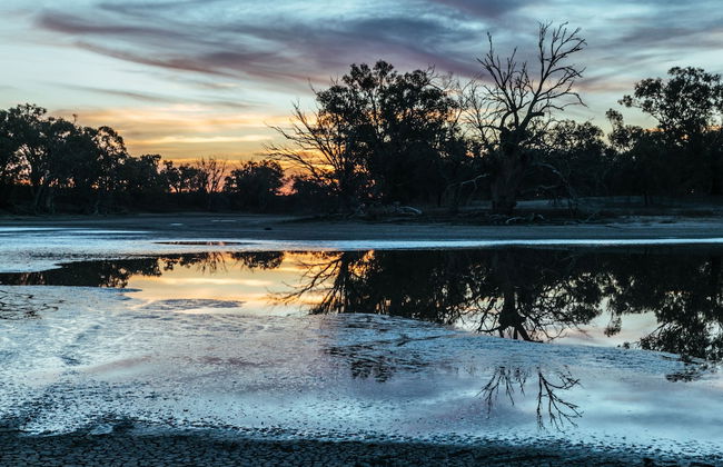 Warrawong on the Darling - Foto 30