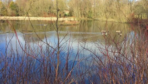 Converted Granary on a rural small holding - Foto 2