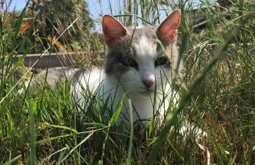 Ferienanlage Gutshaus Gramkow - Foto 11