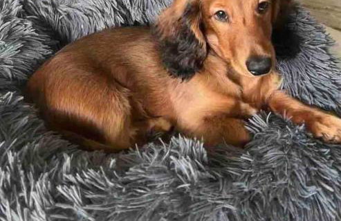 Corner House 2-Bed Townhouse Sleeps 3 - Photo 21