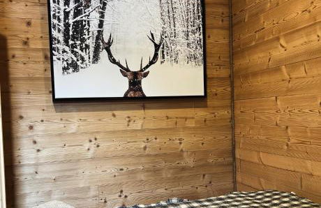 La Foux d 'Allos centre station T4, 7 pers - Foto 21