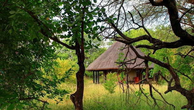 Motswari Private Game Reserve by Newmark - Foto 4