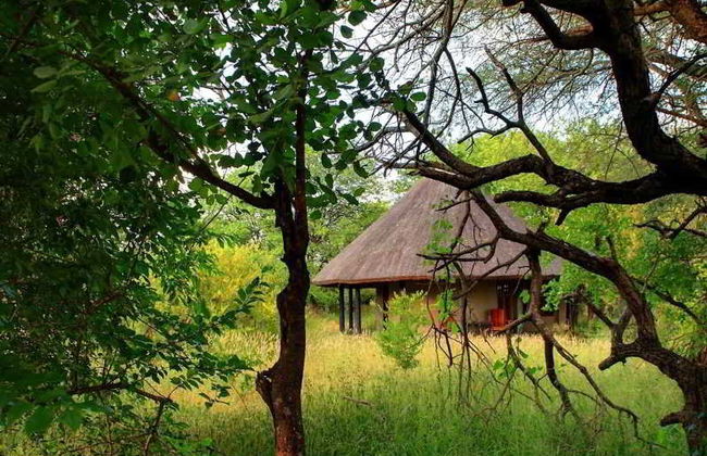 Motswari Private Game Reserve by Newmark - Foto 4