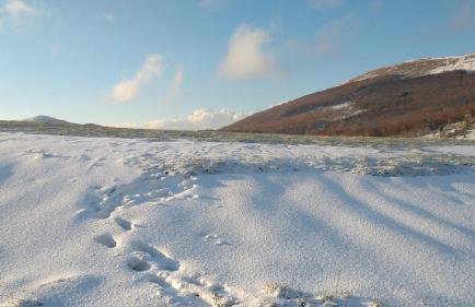 Apartament w Bieszczadach - Photo 65