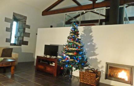 QVA - Quinta Velha das Amoreiras - Photo 22