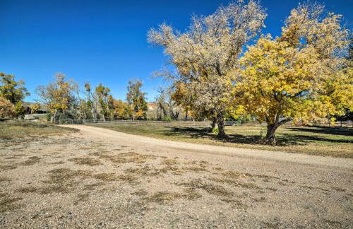 Remote Cabin with Gas Stove Less Than 7 Mi to Town! - Foto 26