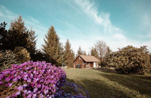 Ferienhaus Tannenblick Rochlitz - Foto 42