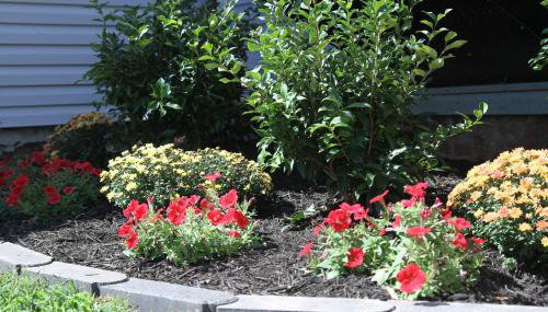 The Orange Door-Sleeps 10 - Foto 5