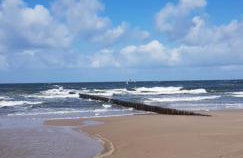 PINEA BALTIC - Double Sea View - Apartment z widokiem na morze - Photo 60