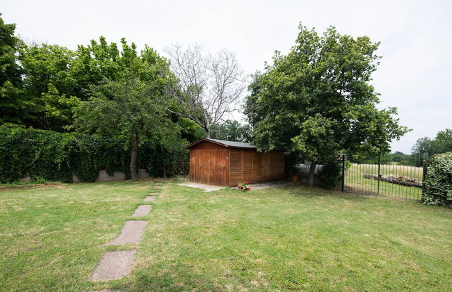 Piccola Pepita - Foto 49