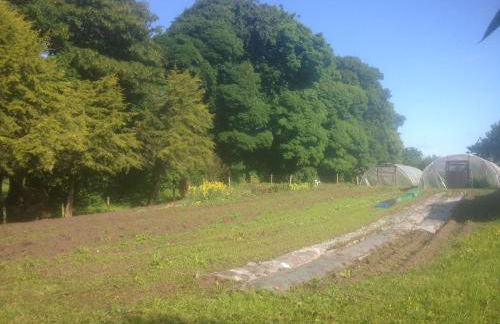 The Old Post Office Lodge - Foto 75