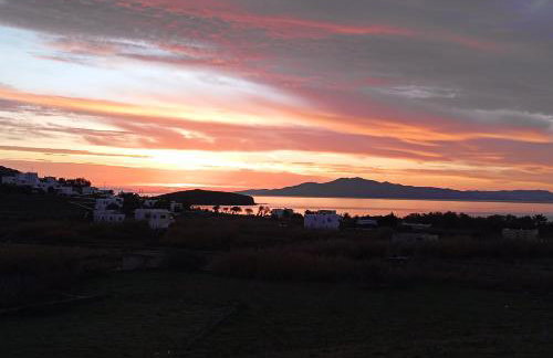 Sea Melody Tinos - Foto 32