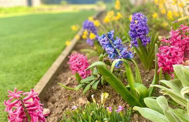 St Martin’s view - Foto 23