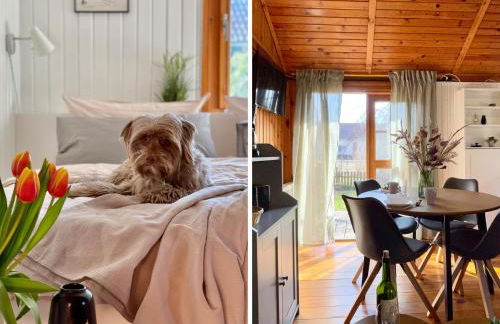 Tiny House mit Garten in See-Nähe - Foto 11