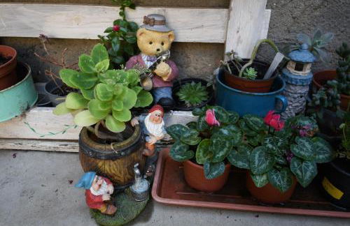 CASA PITA Completa Grupos - Foto 38